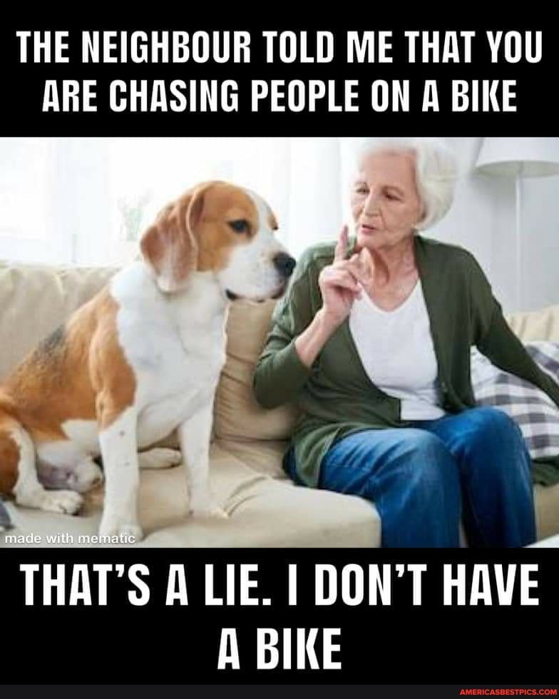 THE NEIGHBOUR TOLD ME THAT YOU ARE CHASING PEOPLE ON A BIKE
THAT'S A LIE. I DON'T HAVE A BIKE