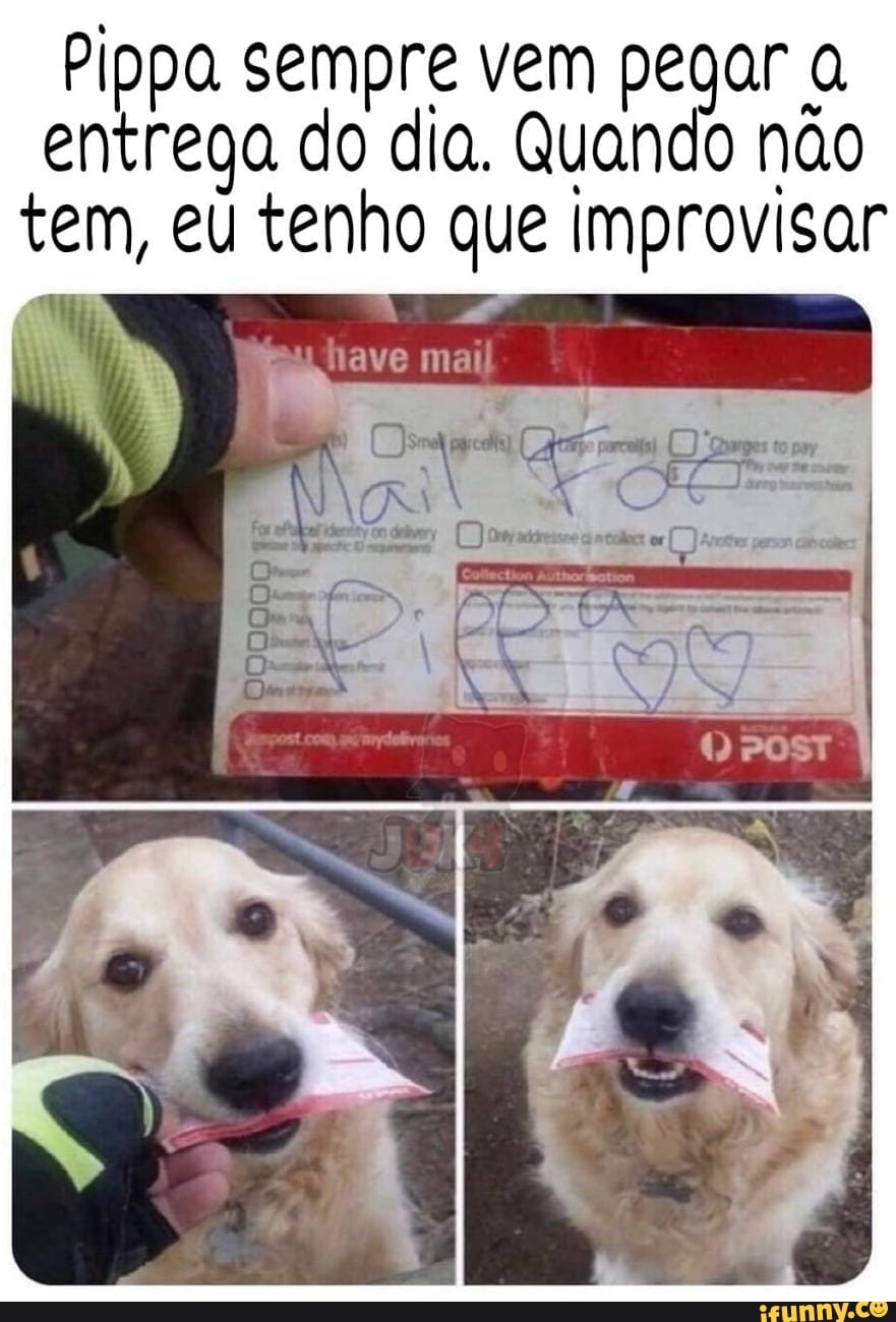 Pippa sempre vem pegar entrega do dia. Quando não tem, eu tenho que Improvisar
ave mai