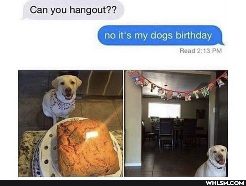 Can you hangout??
no it's my dogs birthday
Read PM
AS