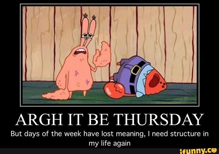 THURSDAY But days of the week have lost meaning, I need structure in my