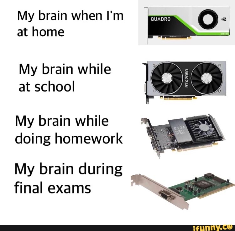 My brain when I'm at home
My brain while at school
My brain while doing homework
My brain during final exams