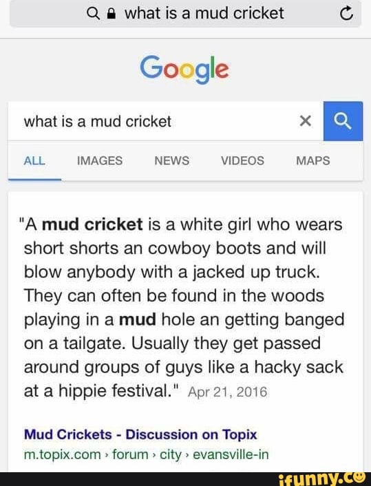 q-6-what-is-a-mud-cricket-a-mud-cricket-is-a-white-girl-who-wears