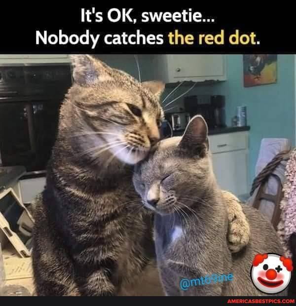 It's OK, sweetie...
Nobody catches the red dot.