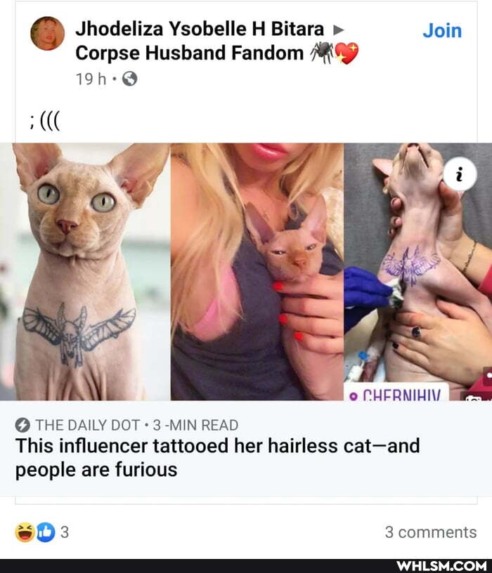 Jhodeliza Ysobelle H Bitara Join
Corpse Husband Fandom
CHERNIHIV
@ THE DAILY DOT 3 -MIN READ This influencer tattooed her hairless cat-and people are furious
3 3 comments