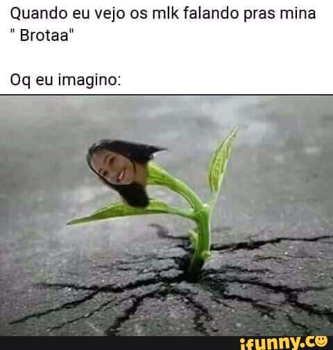 Quando eu vejo o:
Oq eu imagino: