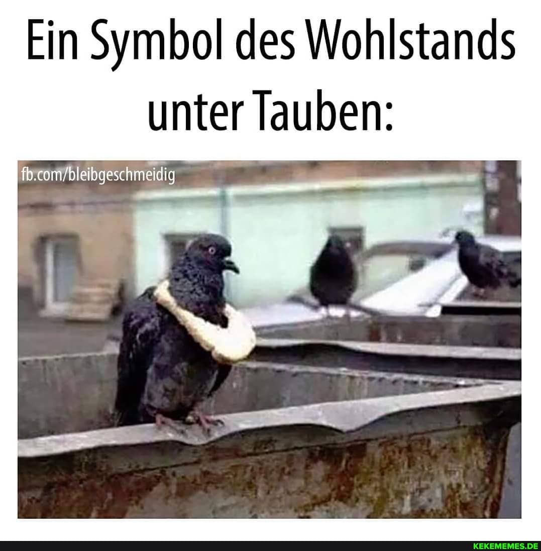 Ein Symbol des Wohlstands unter Tauben:
