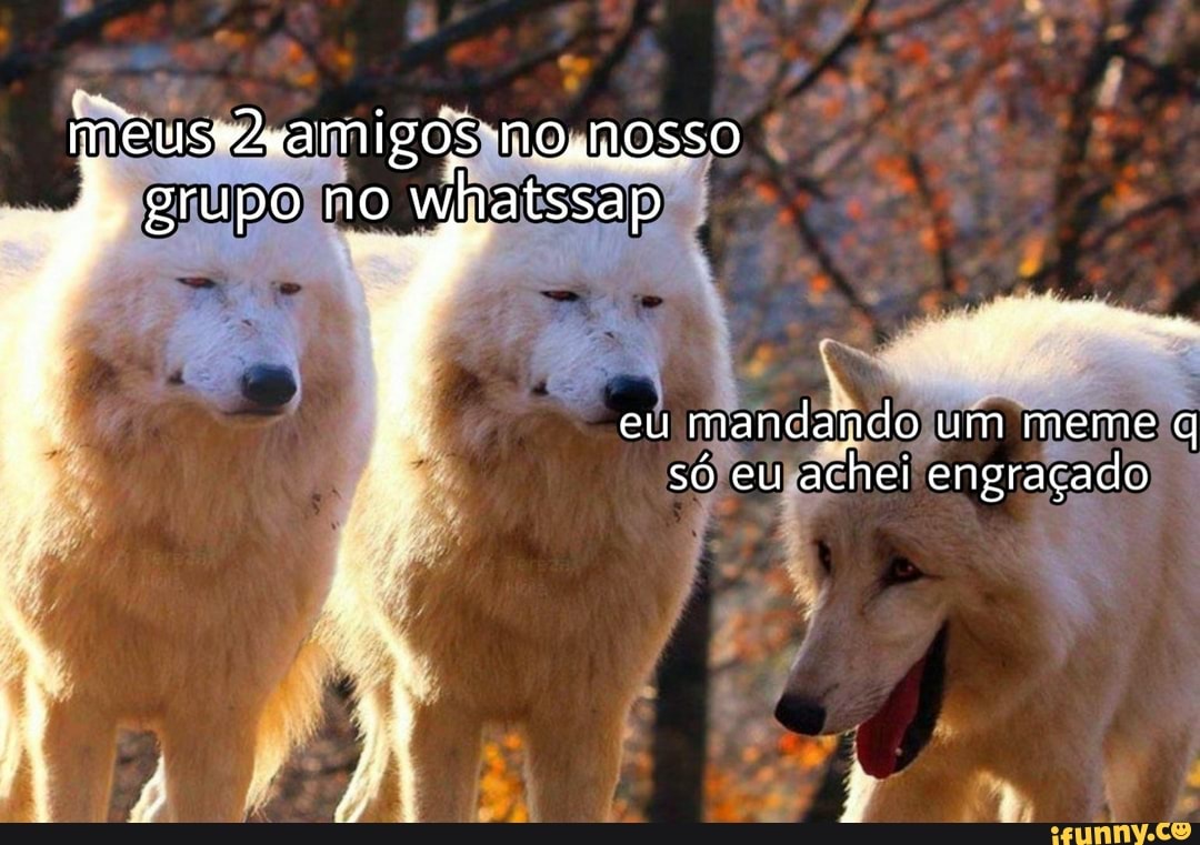 meuseamigos NOSSO grupo no whatssap
eu mandando um meme q só eu achei engraçado
mm