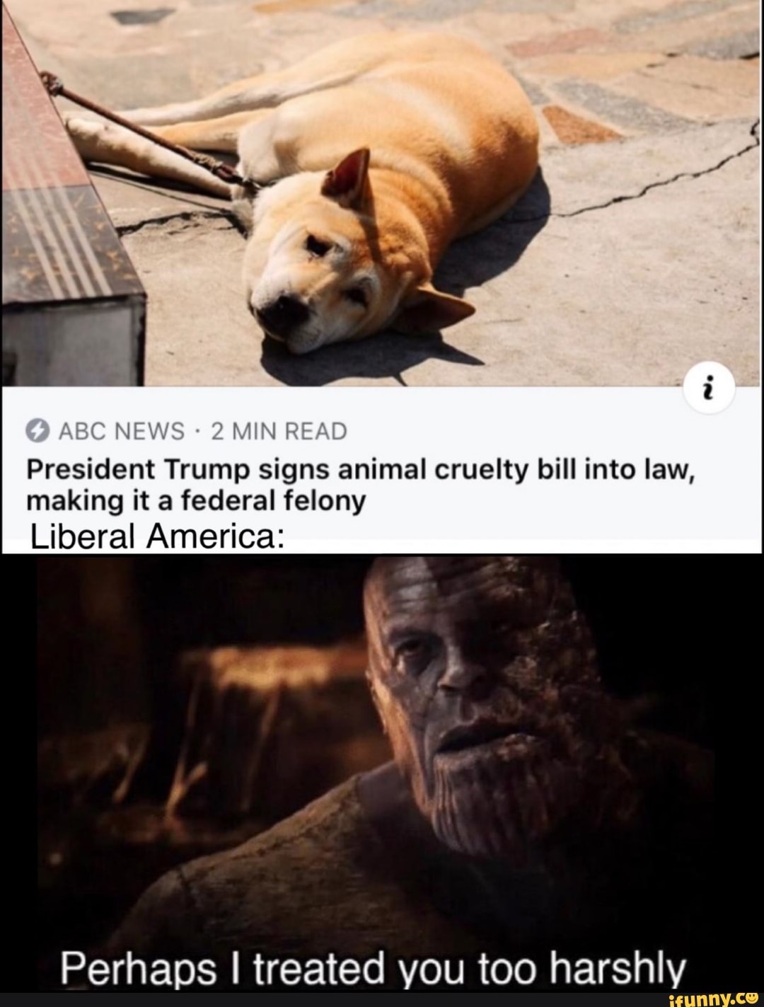 President Trump signs animal cruelty bill into law, making it a federal  felony Liberal America: Perhaps I treated you too harshly 