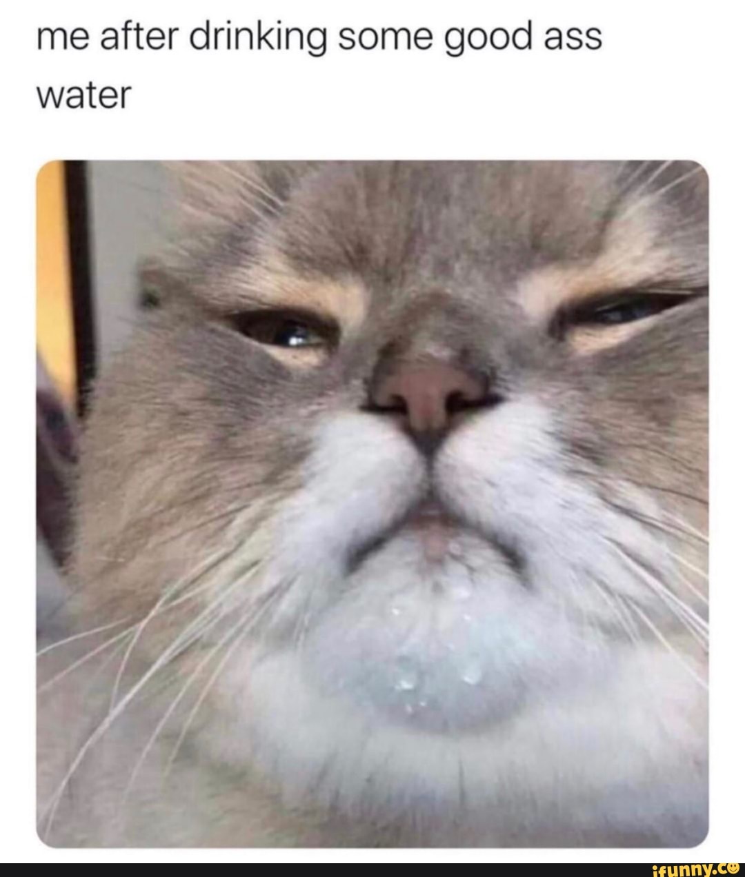 me after drinking some good ass