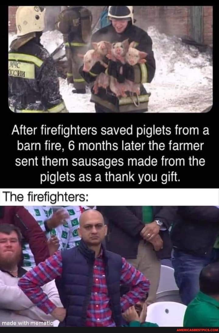 After firefighters saved piglets from a barn fire, 6 months later the farmer sent them sausages made from the
piglets as a thank you gift.
The firetighters:
'made with