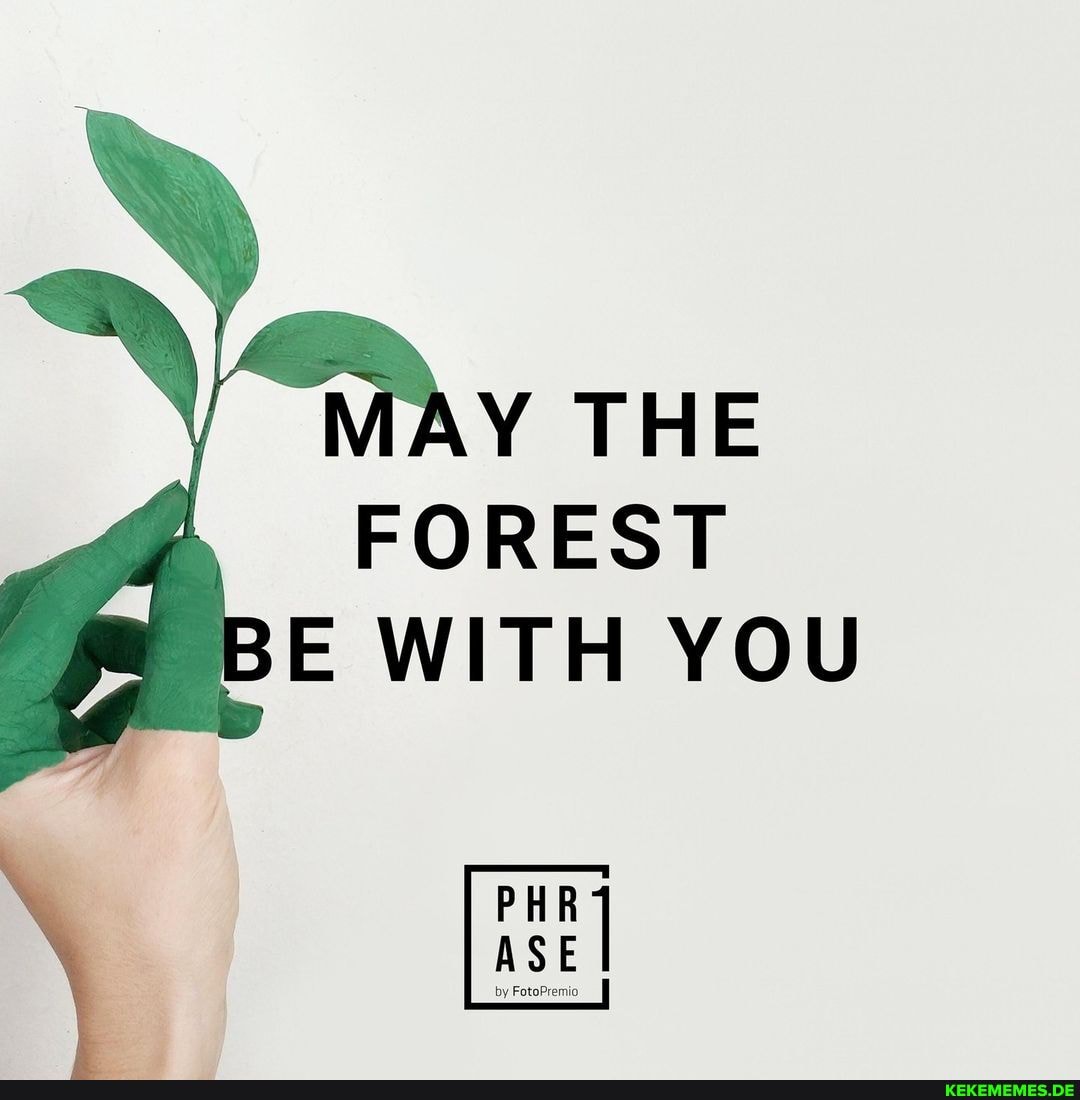 AY THE FOREST BE WITH YOU