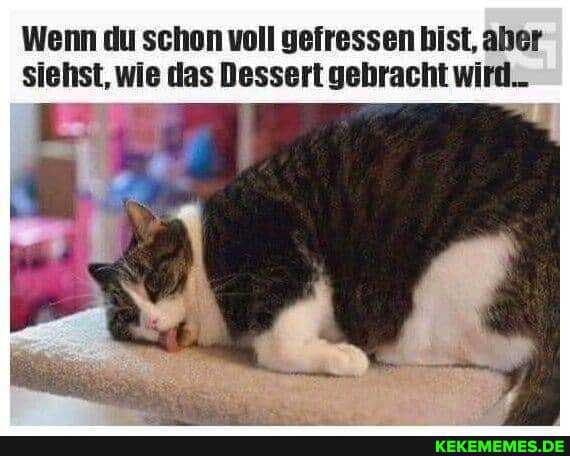 Wenn du schon voll gefressen bist, aber siehst, wie das Dessert gehracht wird.-