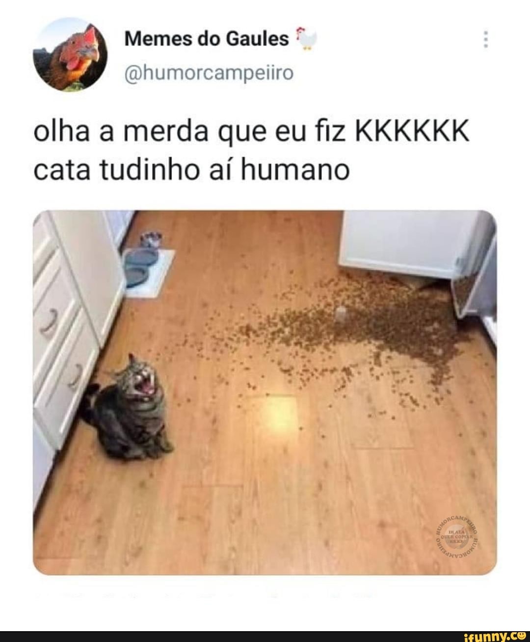 Memes do Gaules
(Qhumorcampeiiro olha a merda que eu fiz KKKKKK cata tudinho aí humano