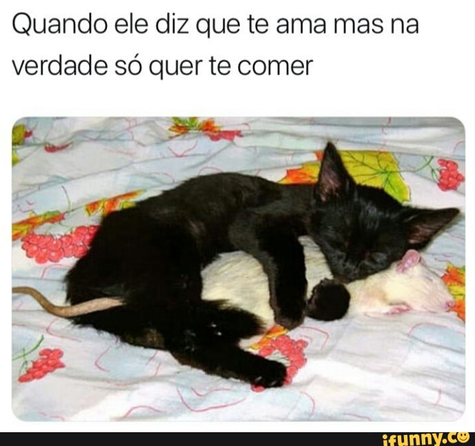 Quando ele diz que te ama mas na
verdade só quer te comer