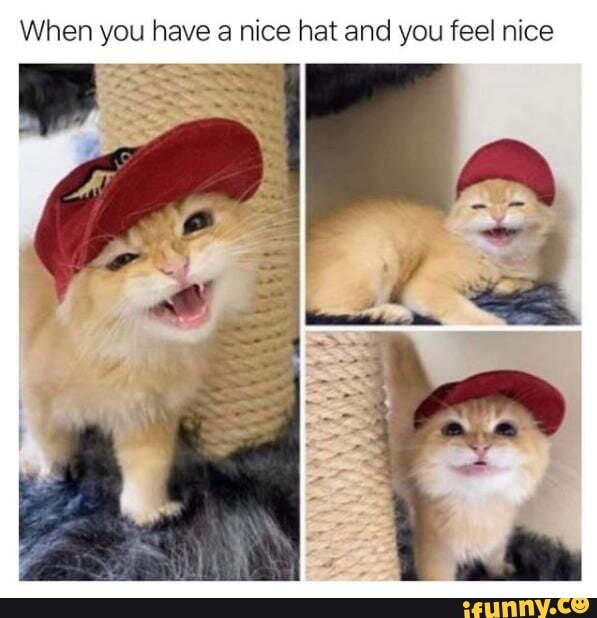 When you have a nice hat and you feel nice
SS