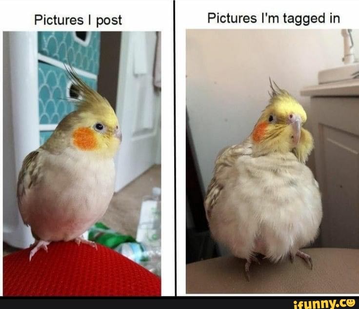 Pictures I post Pictures I'm tagged in