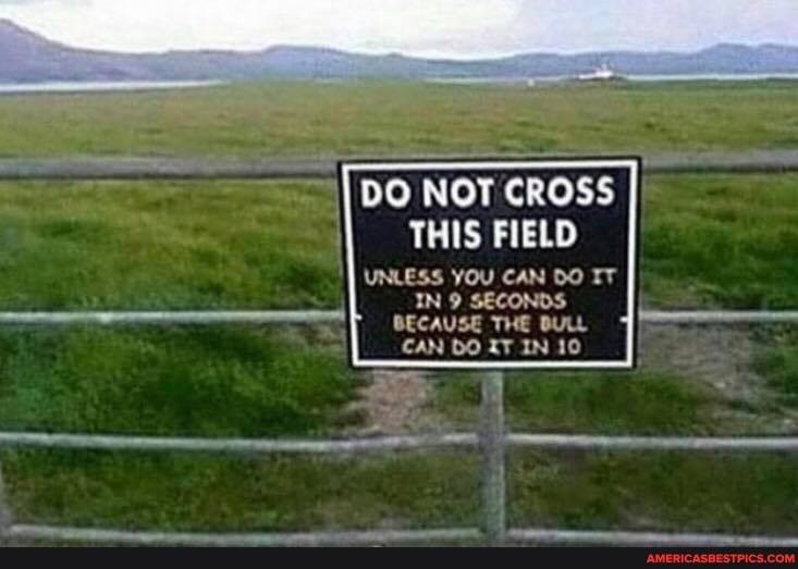 DO NOT CROSS I THIS FIELD
UNLESS YOU CAN IT IN 9 SECONDS
BECAUSE THE BULL
CAN DO IT IN 10