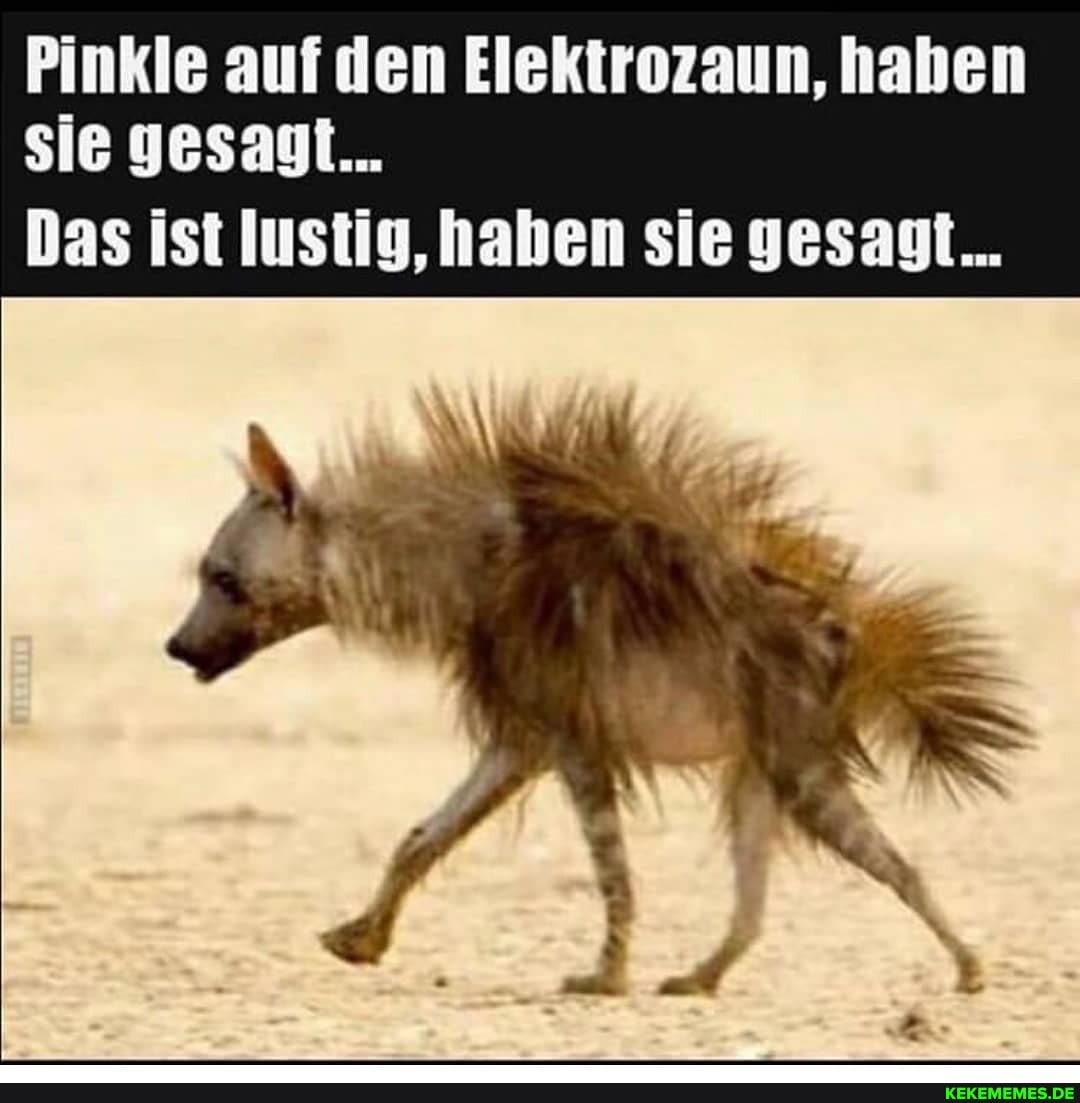 Pinkle auf den Elektrozaun, haben sie
as Ist hahen sie