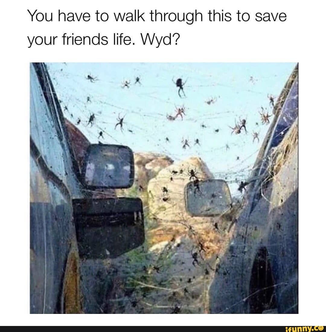 You have to walk through this to save your friends life. Wyd?