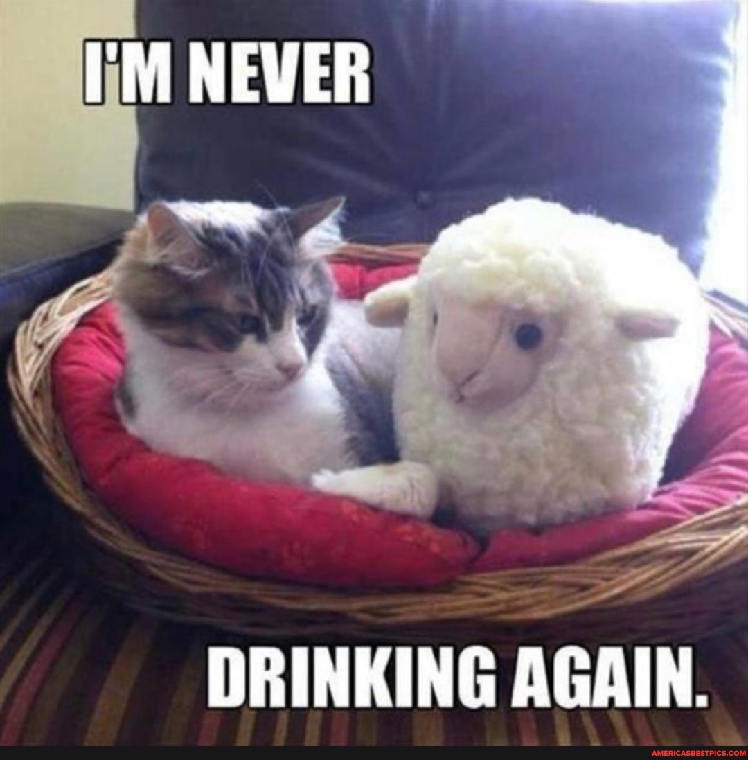 NEVER
DRINKING AGAIN.