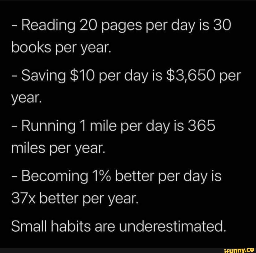 Is reading 20 pages a day a lot?