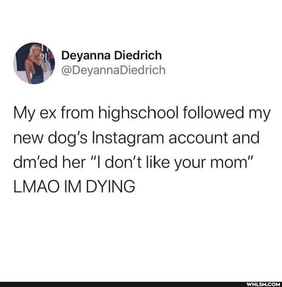 Deyanna Diedrich
My ex from highschool followed my new dog's Instagram account and dm'ed her don't like your mom"
LMAO IM DYING