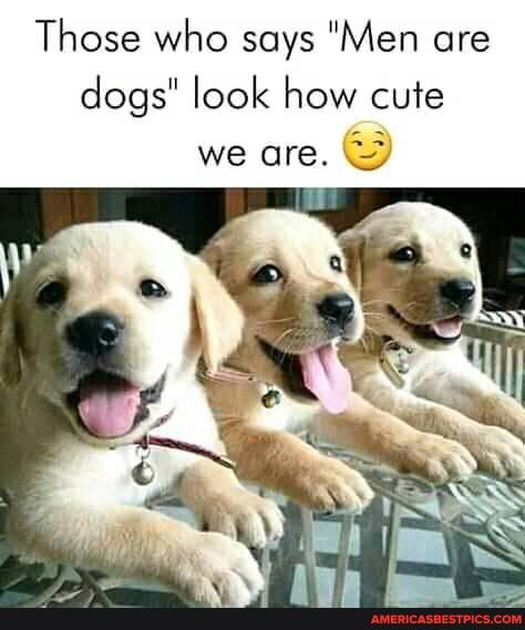 Those who says "Men are dogs" look how cute we are.