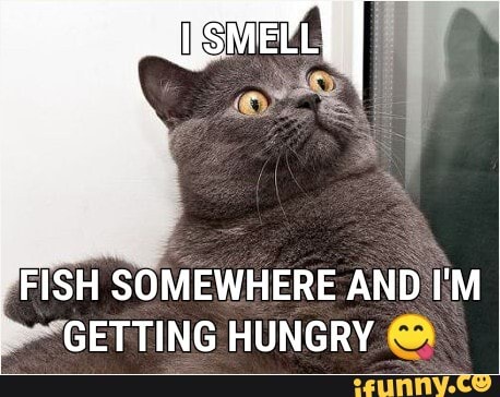 I FISH SOMEWHERE AND I'M GETTING HUNGRY