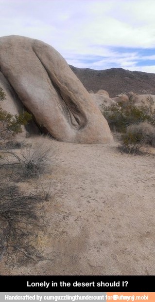 Lonely in the desert should 1? - Lonely in the desert should I?
