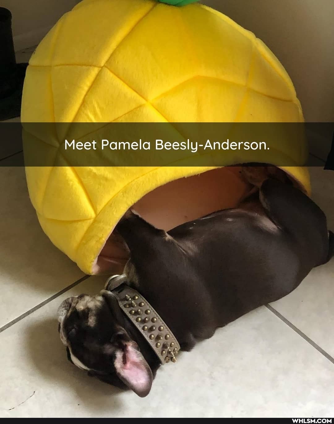 Meet Pamela Beesly-Anderson.