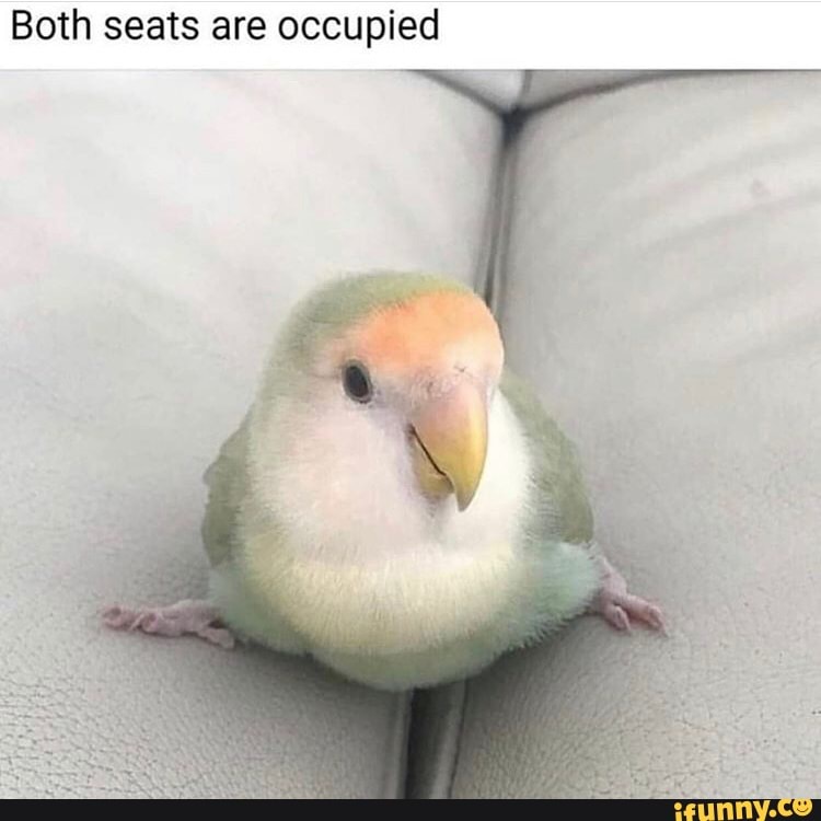 Both seats are occupied