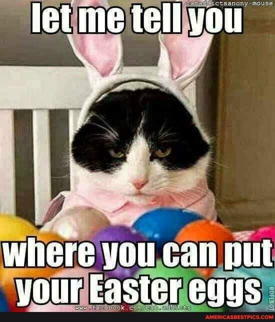 let me iell you
Where YOu Gan your Easter eugs