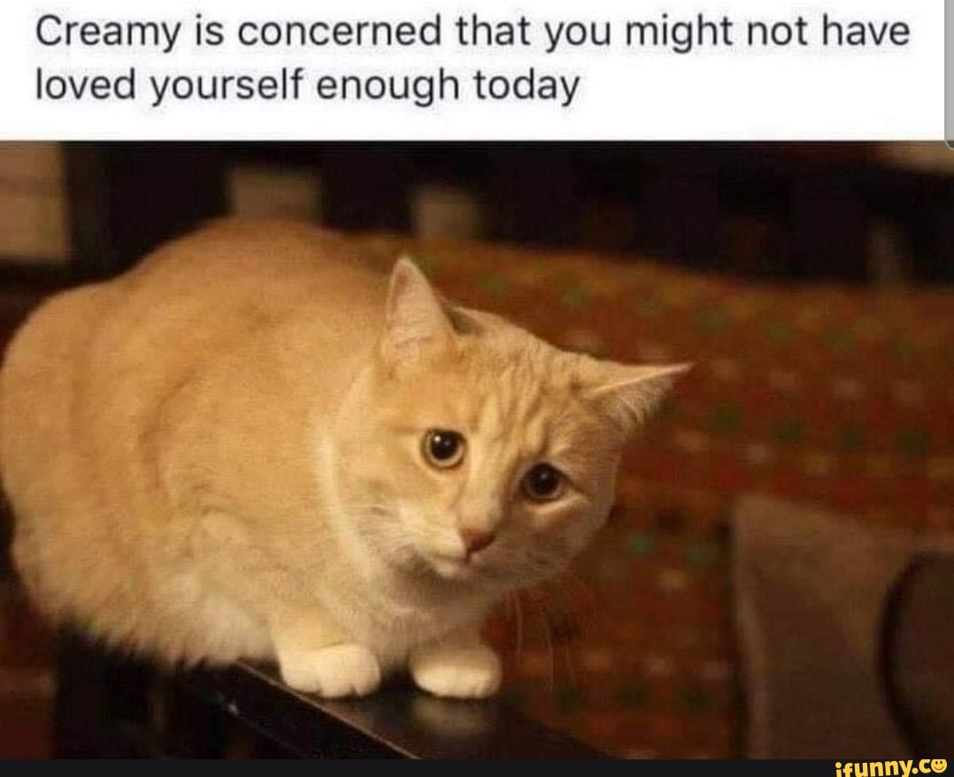 Creamy is concerned that you might not have loved yourself enough today