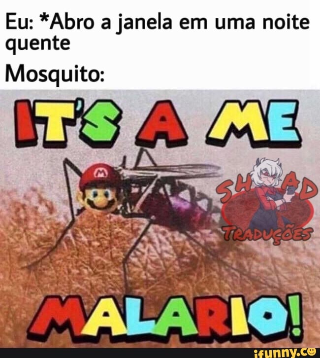 janela em uma noite
quente
Mosquito:
