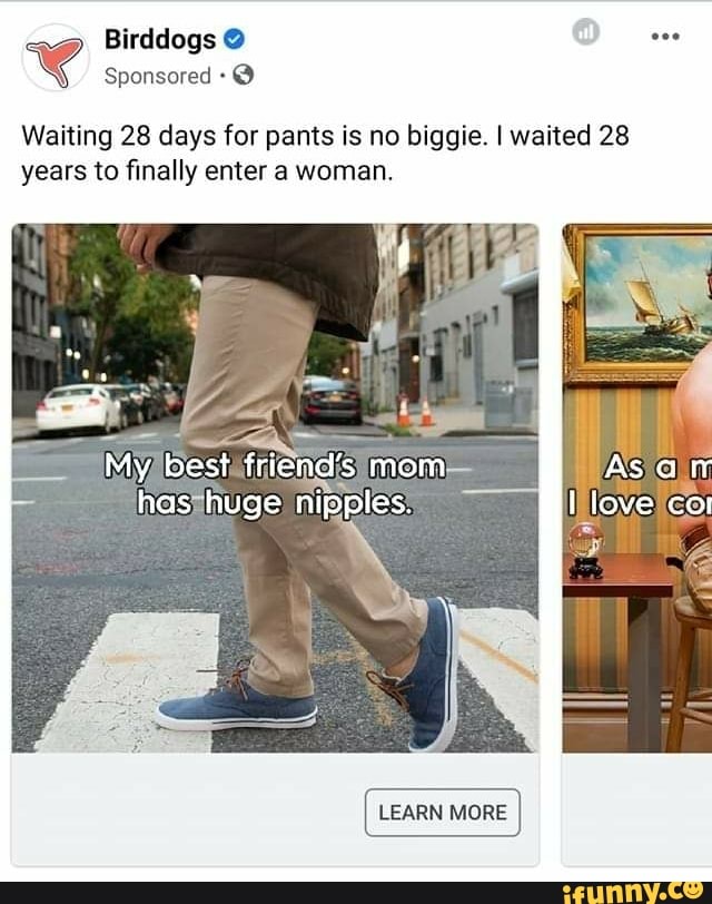 birddogs pee pants