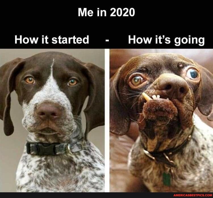 Me in 2020
How it started How it's going