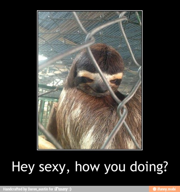 Hey sexy, how you doing? - Hey sexy, how you doing?