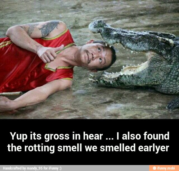 Yup its gross in hear I also found
the rotting smell we smelled earlyer - Yup its gross in hear ... I also found the rotting smell we smelled earlyer