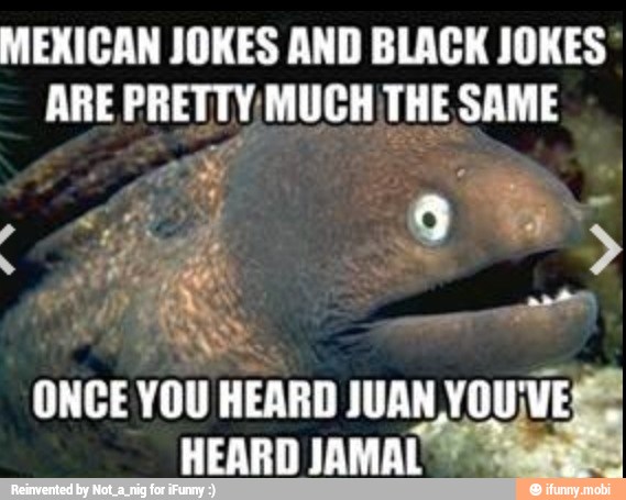 MEXICAN JOKES AND BLACK JOKES"
ARE PRETTY, MUCH THE SAME
HEARD JAMAL
Sr
ONCE YOU HEARD Ju a