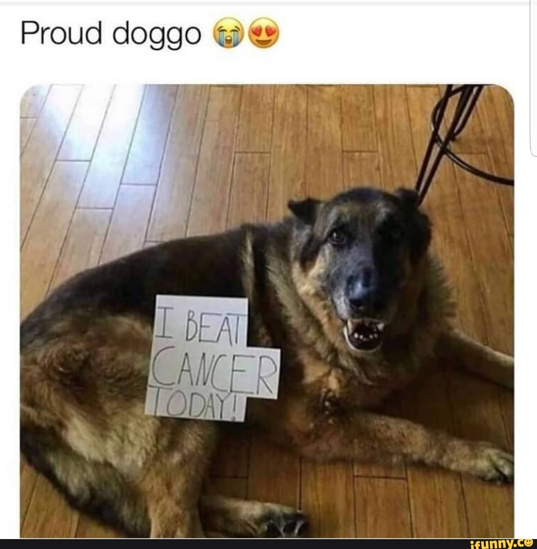 Proud doggo ty es