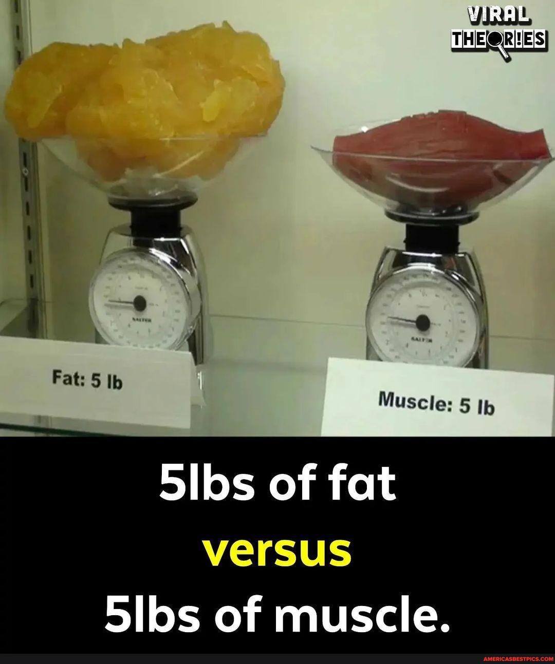 VIRAL TH er Fat: 5 Ib Muscle: 5 fh Silos of fat versus 5ibs of muscle ...