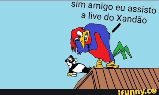 Sim amigo eu assisto a live do Xandão