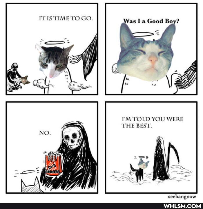 IT IS TIME TO GO.
I'M TOLD YOU WERE THE BEST.