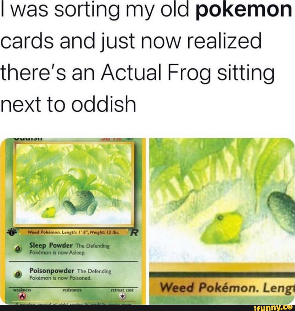 I was sorting my old pokemon cards and just now realized there's an Actual  Frog sitting