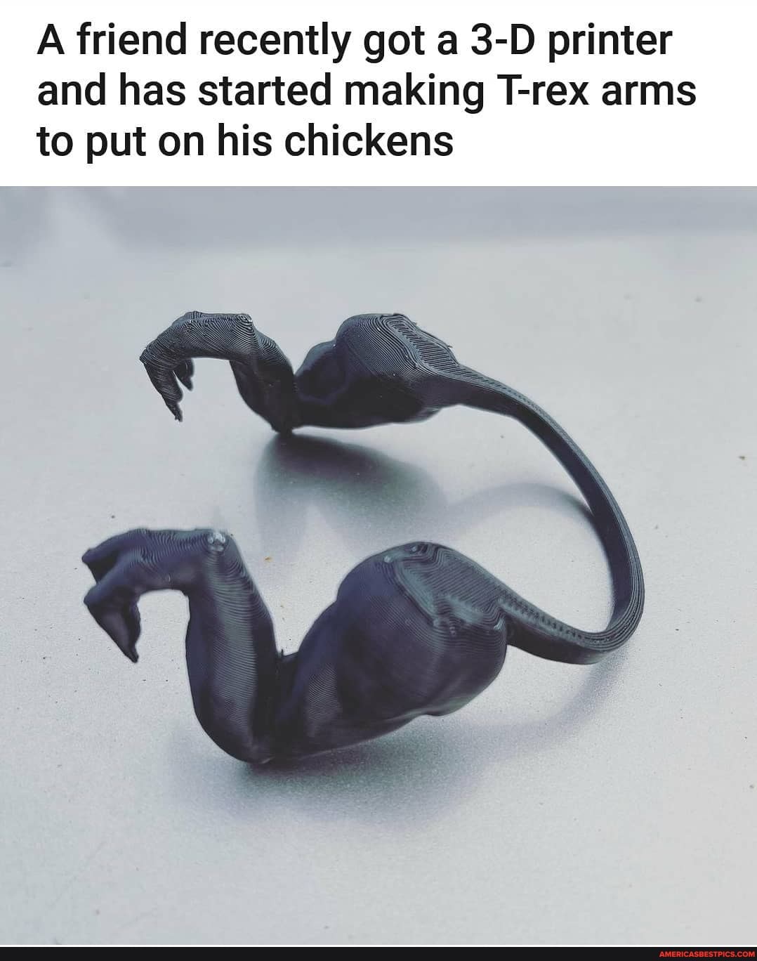 A friend recently got a printer and has started making T-rex arms
to put on his chickens