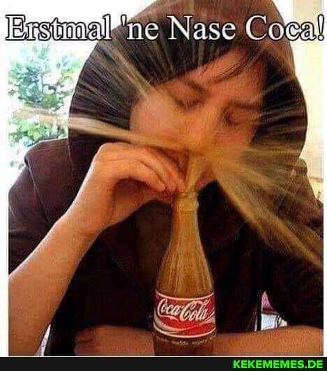ne Nase Co