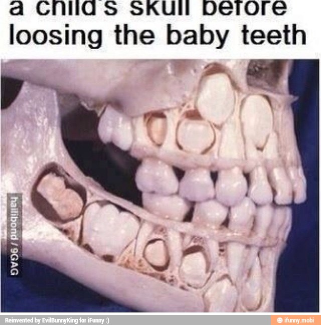 loosing the baby teeth