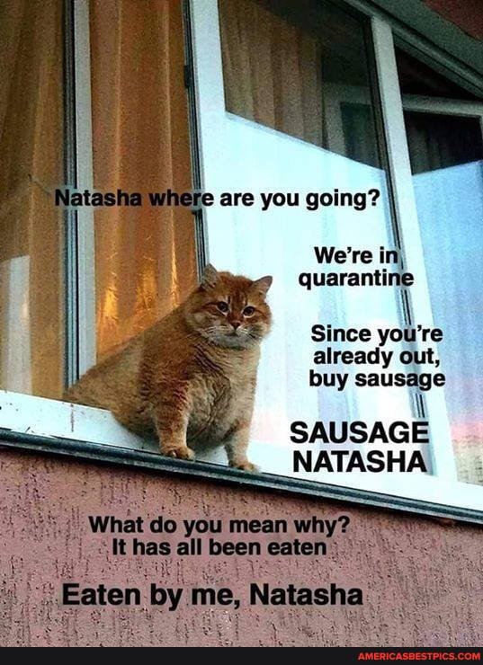 are you going?
We're in, quarantine
Since you're already out, buy sausage
iN
SAUSAGE
_ NATASHA