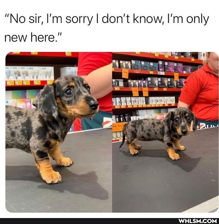 "No sir, I'm sorry I don't know, I'm only new here."