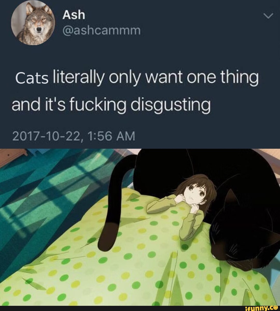 Cats literally only want one thing and it's fucking disgusting 2017-10
